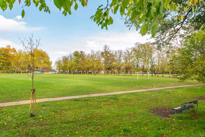 Park- click for photo gallery